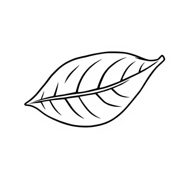 leaf coloring page